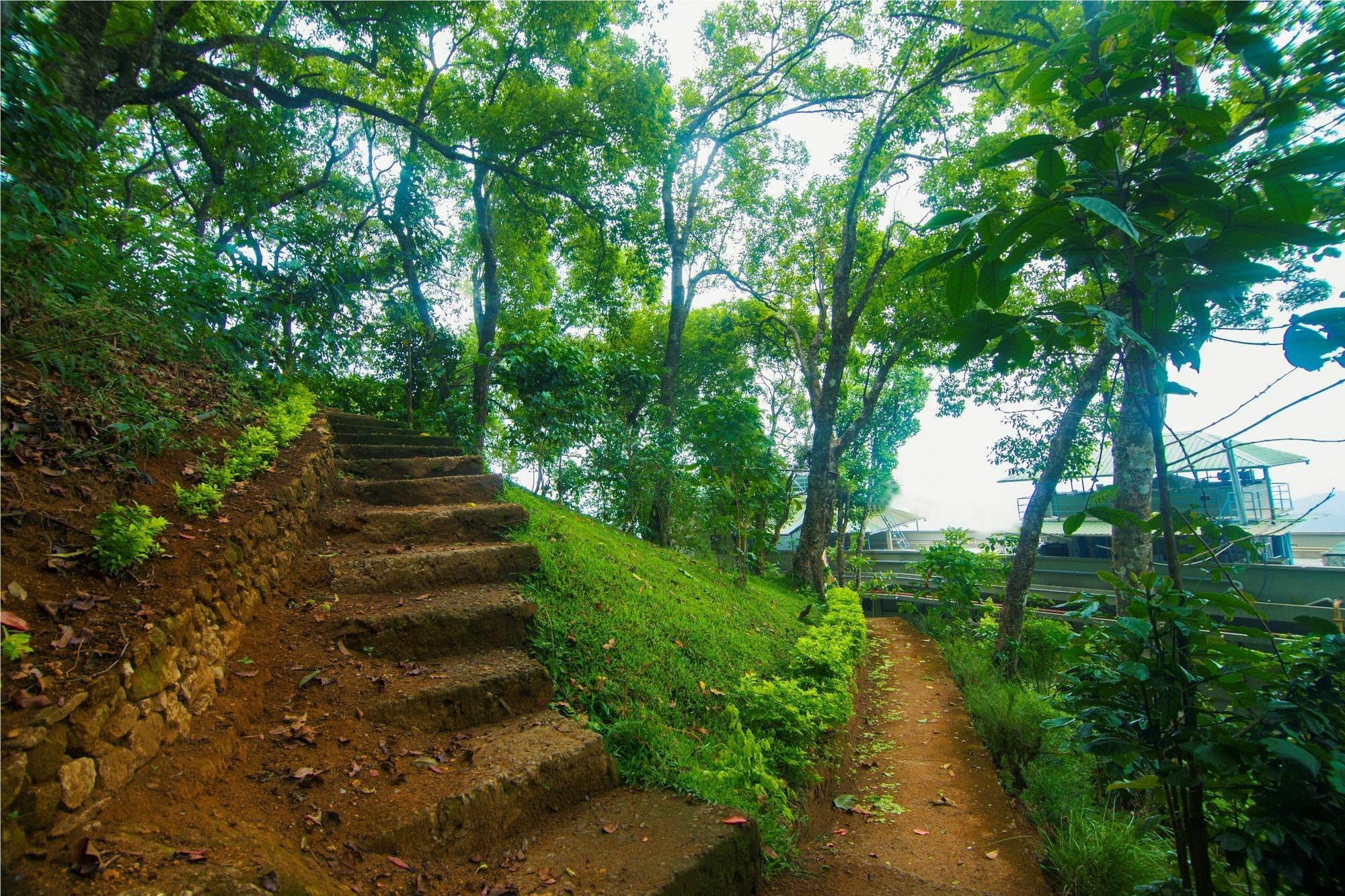 Forest Glade Resorts Chithirapuram Buitenkant foto