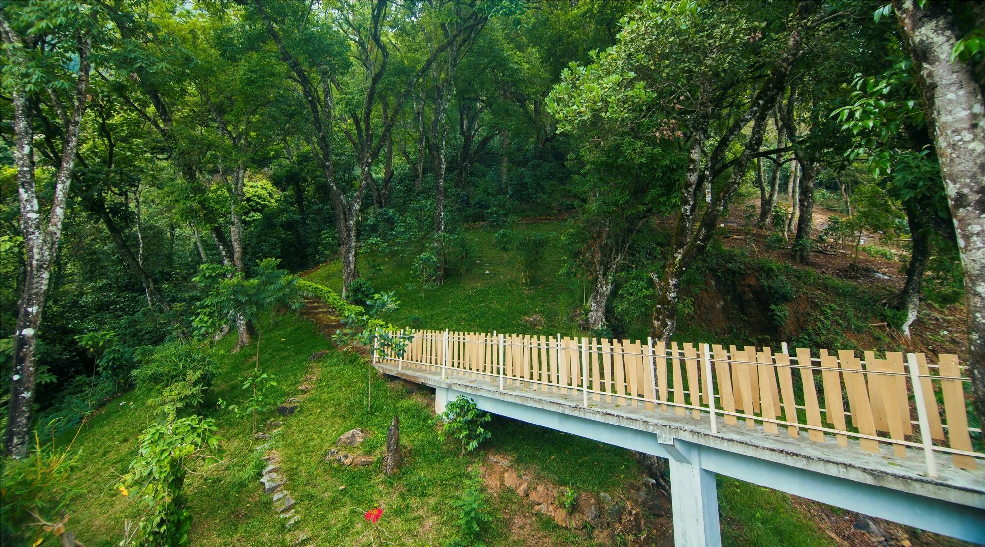 Forest Glade Resorts Chithirapuram Buitenkant foto